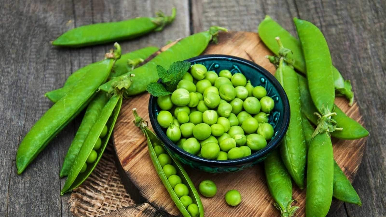 Difference Between Snow and Sugar Snap Peas